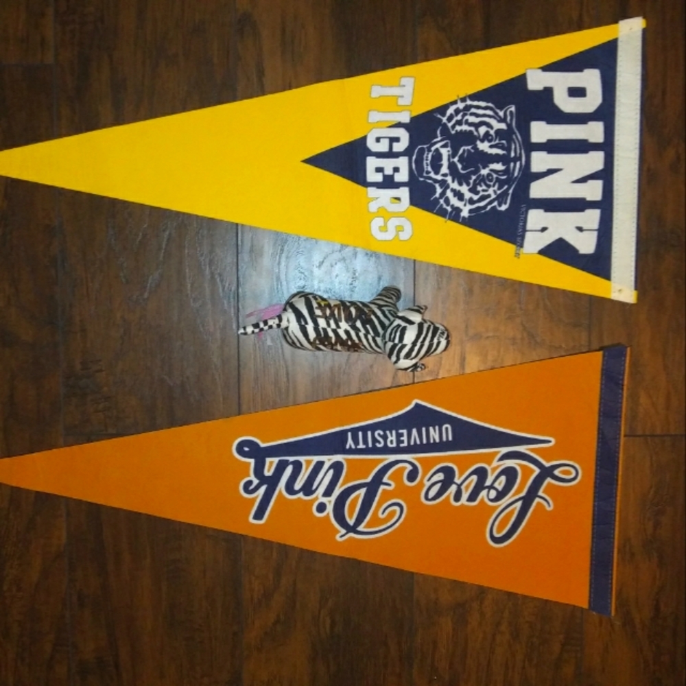 HOLD Victoria's secret pink display pennants